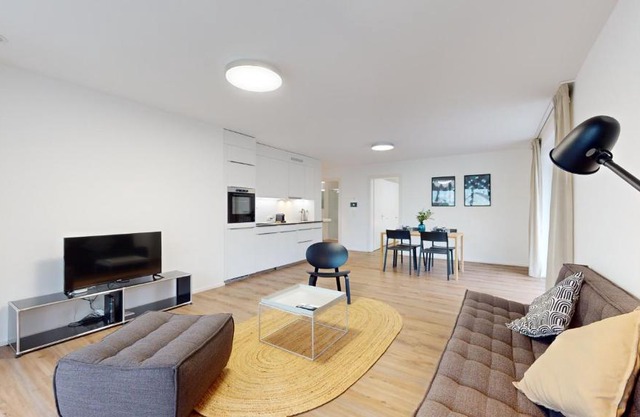 Bright & modern apartments in Sion