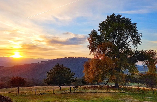 Brindabella Farmstay