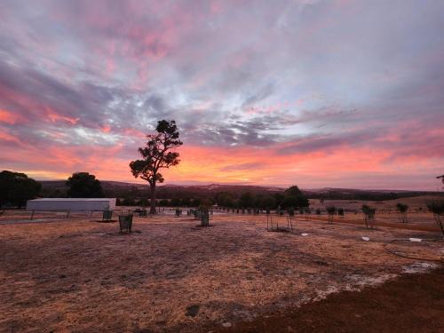 Brodie's Farm
