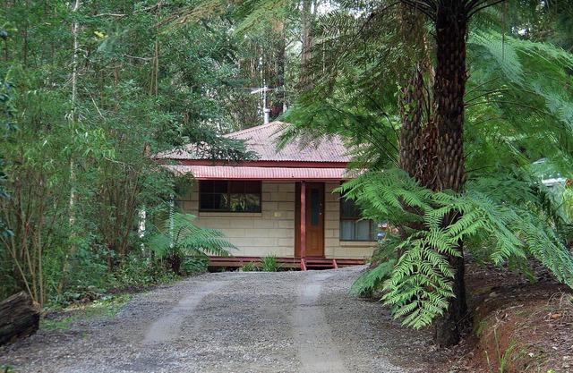 Brook Cottage. 7 Acre Rain Forest Paradise