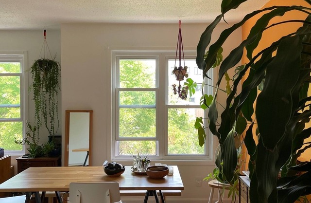Brooklyn Bungalow
