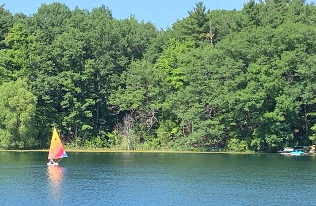 Bryan Lake Oasis in Downtown Lake Ann | Firepit | Beach