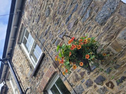 Brynteg cottage near seaside resort of New Quay