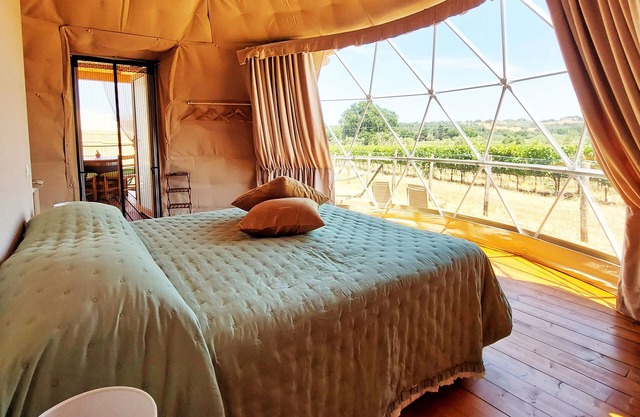 Bubble Room with a view of Tuscan vineyards | Le Stelle di Elisa - Wine Truffle Glamping