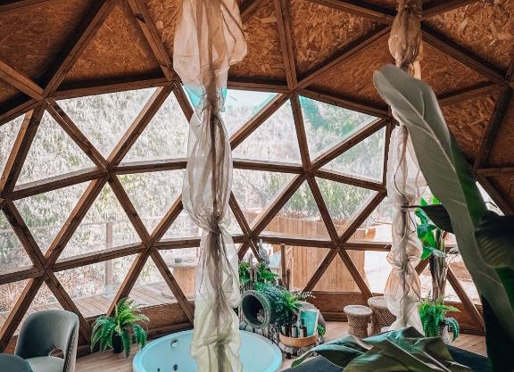 Bubble Suites