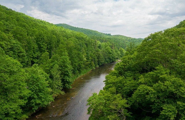 Bucky's Hideaway - Cool Private River Retreat en Todd