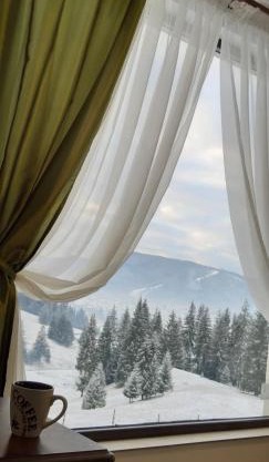 Bucovina Sky View