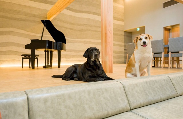 Building A Pets allowed SuiteWith pool terrace and sauna / Kamogawa City Chiba