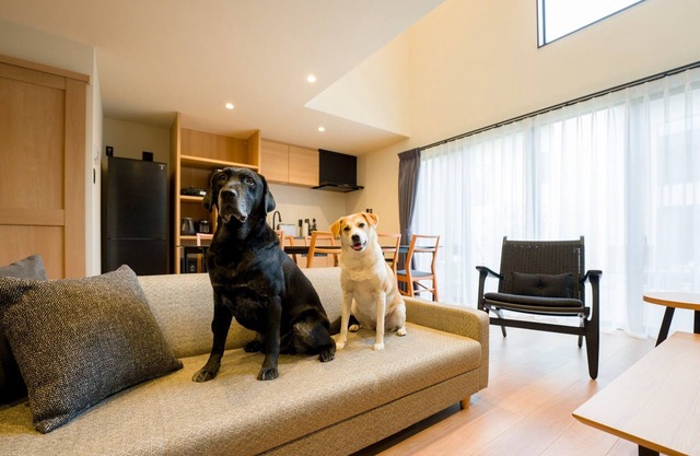 Building Dpets allowed maisonette with terrace and sauna / Kamogawa City Chiba