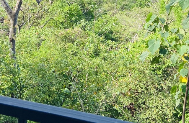 Bungalow 14 floor 2, with Ocean View, 5 pax max, 10 min from Curu National Park.