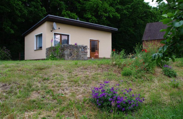 Bungalow am Forsthaus Stagnieß