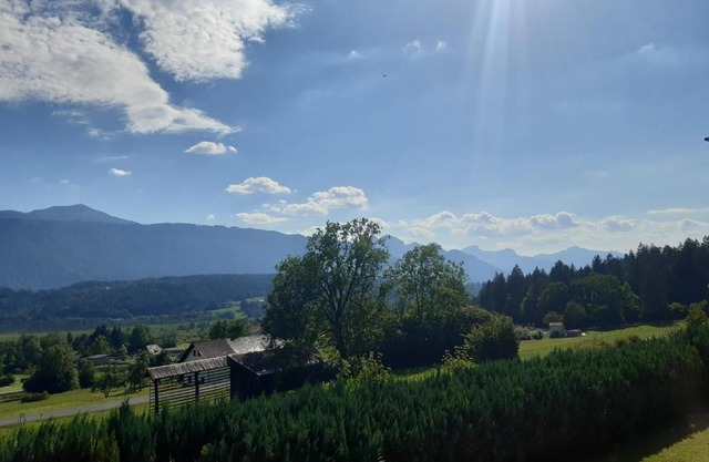 Bungalow-Ferienhaus Thurner