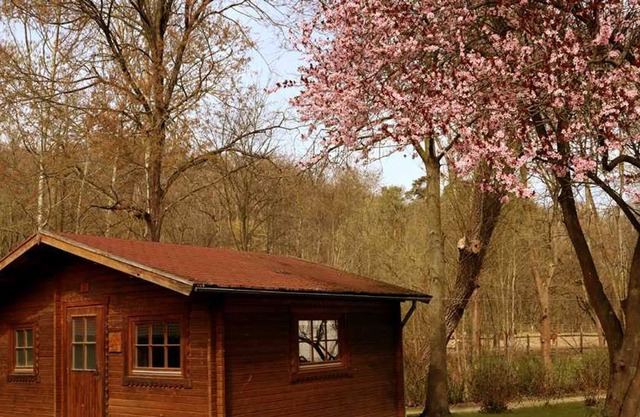 Bungalow Casa C1 - Schullandheim
