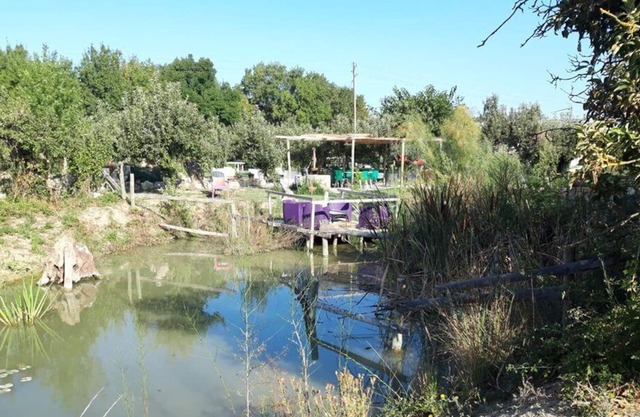 Bungalow en gran lote privado