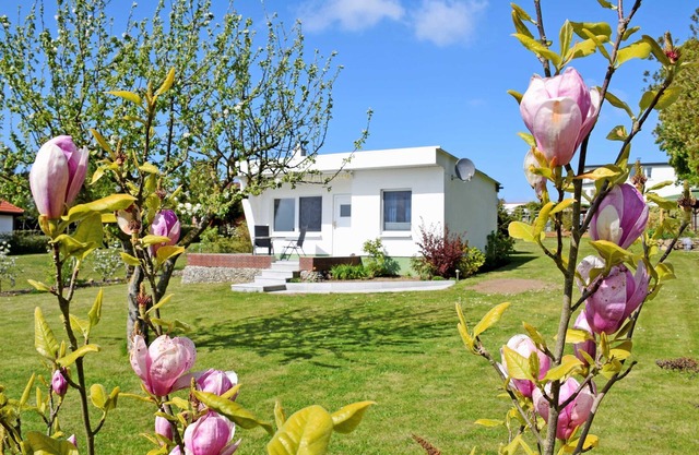 Bungalow 'Sundblick' con vistas al mar, terraza privada y Wi-Fi