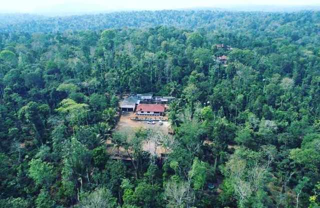 Bungalow369