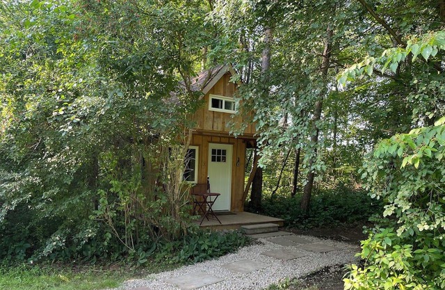 Bunkie in the Forest