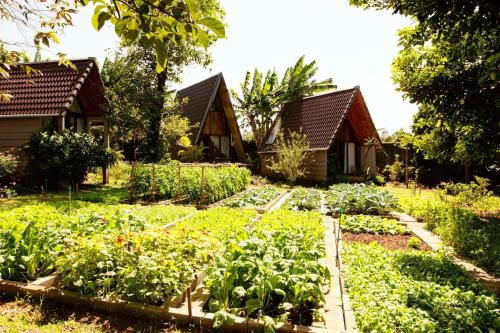 Buon'S garden