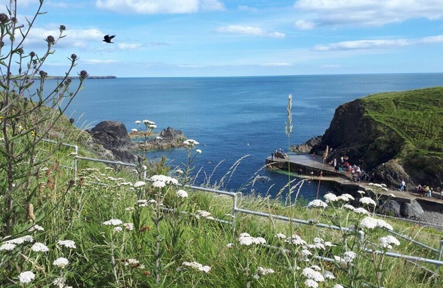 Burrows Lodge, Tramore, Co. Waterford