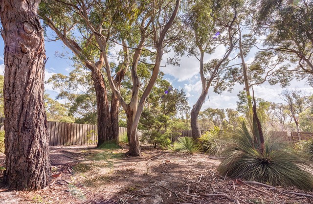 Bush Hideaway