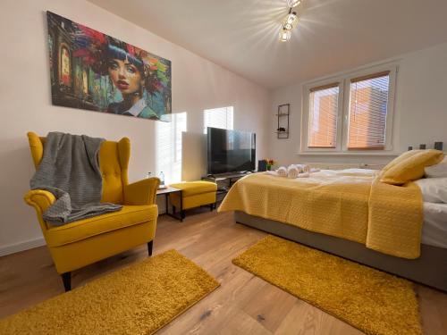 Business Class Studio Apartment Katowice Silesia City Center