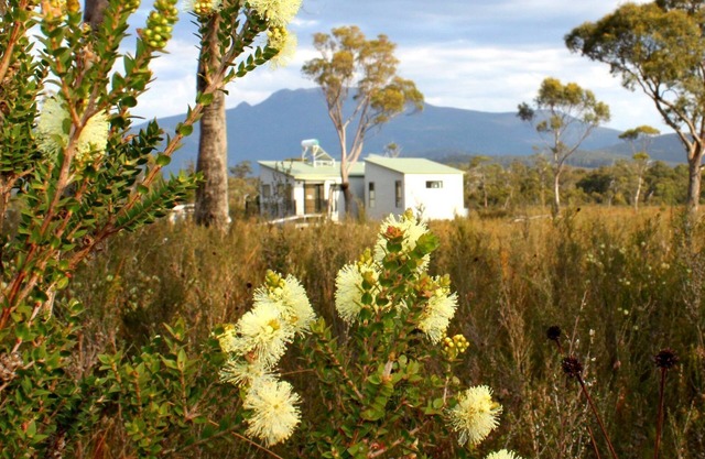 Buttongrass Retreat Extremo Sur Tasmania
