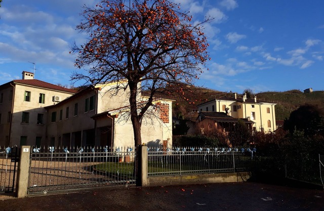 por apartamento Meri en las colinas de la zona de Prosecco DOCG