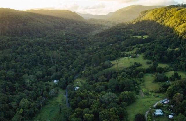 Espacio circular - Yurta de madera en bosque lluvioso de montaña / Granja de permacultura