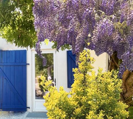 C'est une maison bleue adossée à la forêt