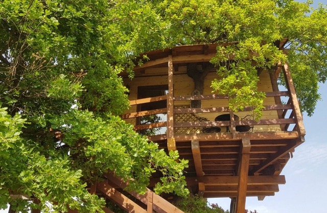 Casa Sull' Albero Treehouse Costa dei Trabocchi