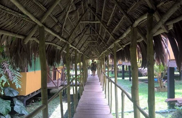 Cabaña Amazon Lodge