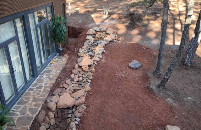 Cabaña Arroyo de los Venados En la Sierra de Tapalpa, VENADOS EN LIBERTAD,