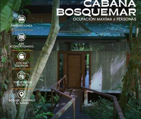 Cabaña Bosquemar 1