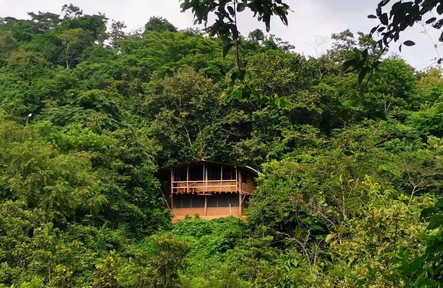 Cabaña Guarumbo - Conexión con la Naturaleza