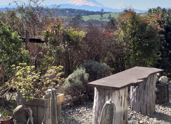 CABAÑA LOS QUELTEHUE