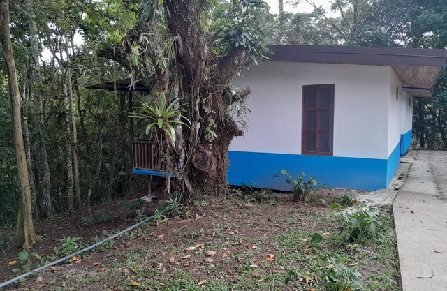 Cabaña para 4 personas| complejo turistico| fuga ecolodge | la lapa