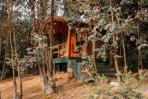Cabaña Tipo Glamping Savieza Life Experience