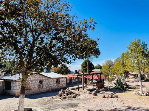 Cabañas De Lolita En Barrancas del cobre