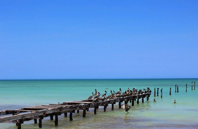 Cabañas El Cuyo