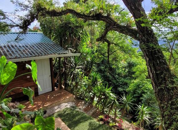 CABAÑAS EN ZONA 16