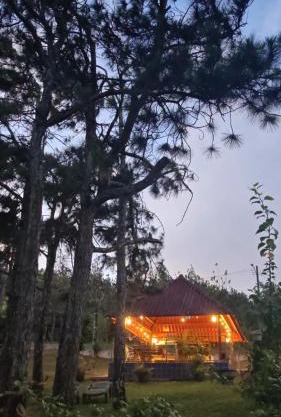 Cabañas Hiraphet