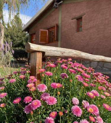 cabañas las viñas