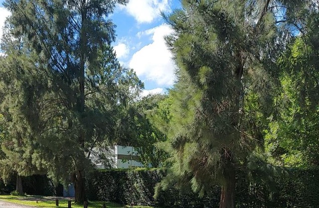 Cabañas Montoya