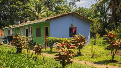 Cabañas yami