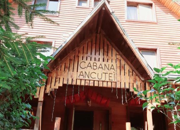Cabana Ancutei