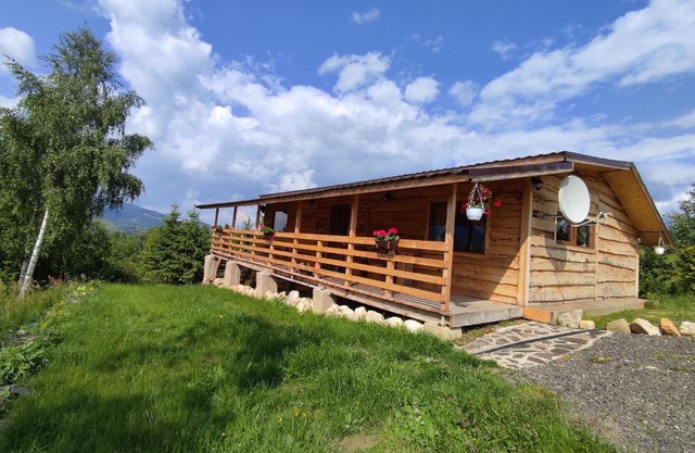 Cabana doi mesteceni