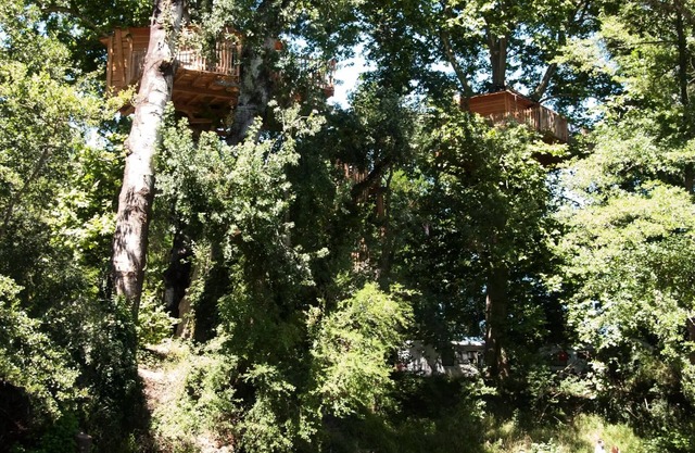 Cabana perched in Bäumen 2 bis 4 Personen - 2 Pers. im Preis enthalten