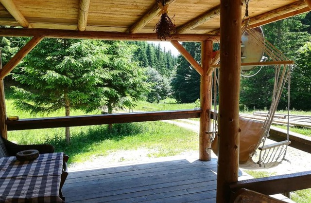 Cabana Pietricica