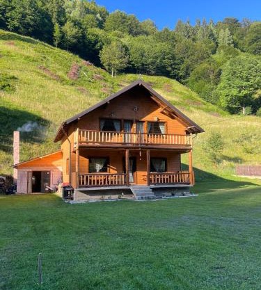 Cabana Trei Brăduți