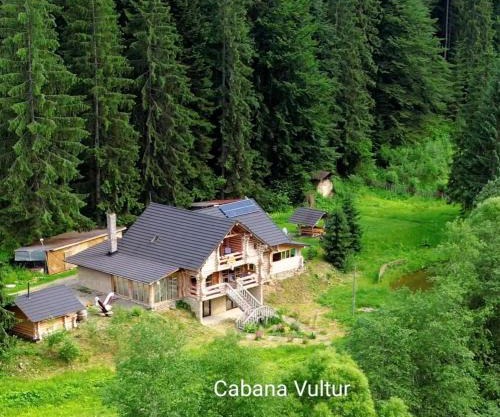 Cabana Vultur